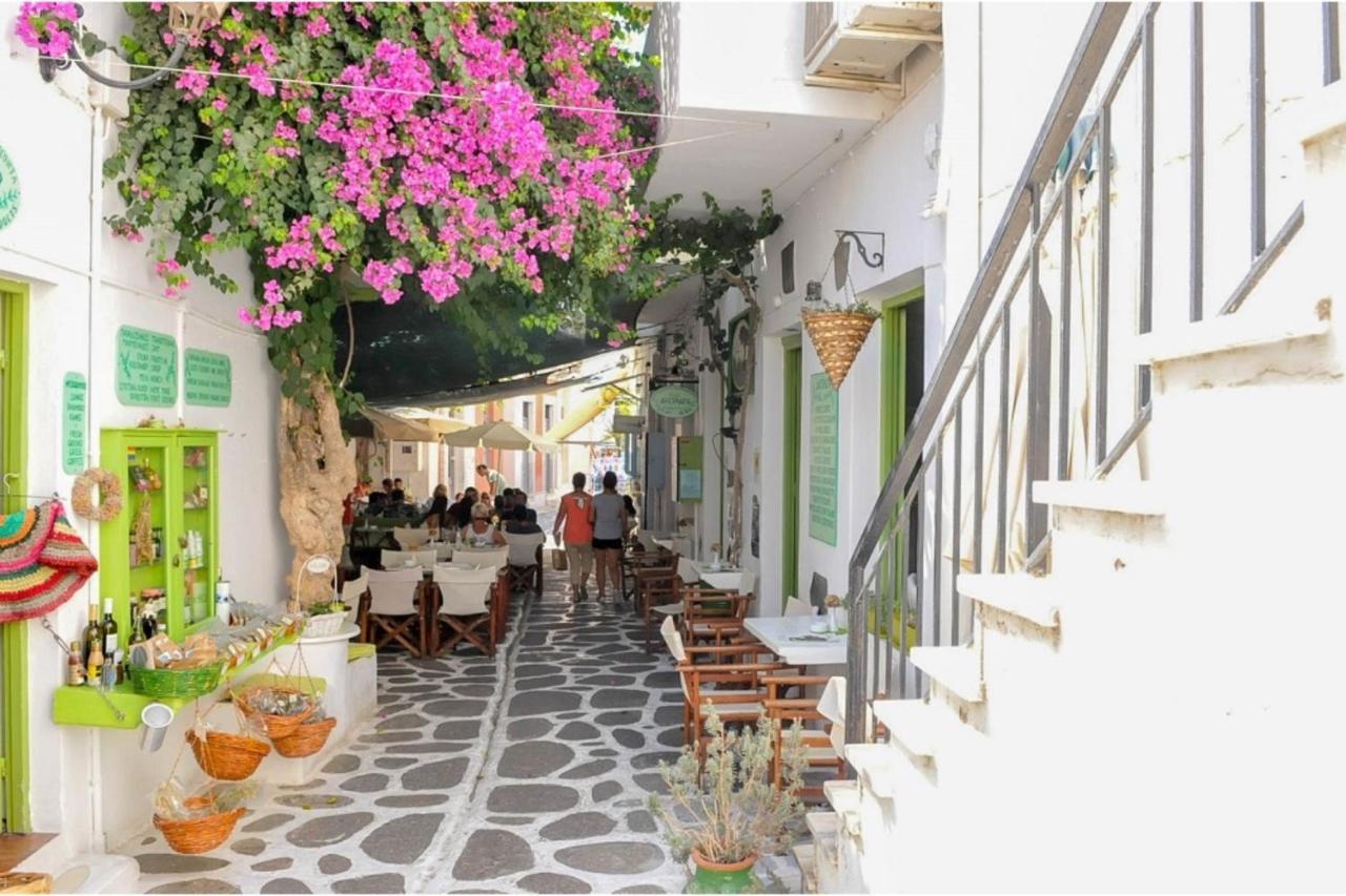 Livadia Seaside Studios 6 Πάρος Εξωτερικό φωτογραφία